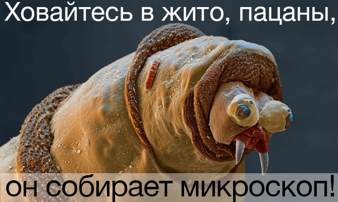 СДЕЛАТЬ МИКРОСКОП