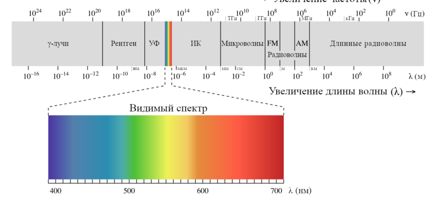 ПАЛОЧКА КОЛБОЧКИ РЕЦЕПТОРНАЯ ИЛИ ОПТИЧЕСКАЯ