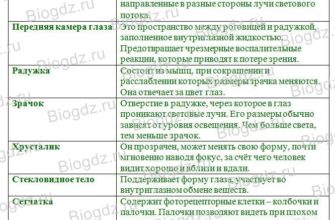 ОЧЕК ЛОМО