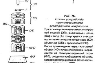 КАК ВЛИЯЕТ ОПТИЧЕСКОЕ ЗРЕНИЕ НА ЗДОРОВЬЕ ЧЕЛОВЕКА 1 ЧТО ТАКОЕ ДИОПТРИЯ И КАКОВА СВЯЗЬ С НИМ