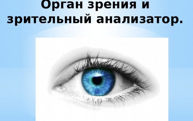 КАК УСТРОЕНО ГЛАЗНОЕ ЯБЛОКО БИОЛОГИЯ 8 КЛАСС