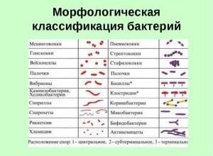 ВОЛНОВЫЕ СВОЙСТВА ПРИМЕНЕНИЯ СВЕТА В МЕДИЦИНЕ И 2