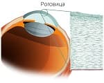 ПРЕДЛОЖИВШИЙ КОРПУСКУЛЯРНУЮ ТЕОРИЮ СВЕТА И КОРПУСКУЛЯРНУЮ ТЕОРИЮ СВЕТА БЫЛ СТОРОННИКОМ КОРПУСКУЛЯРНОЙ ТЕОРИИ СВЕТА