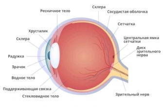 КОМПЛЕКТ ДЛЯ СБОРКИ РОБОТА